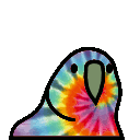 Tie Dye Parrot